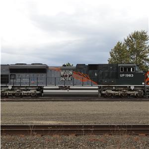 Photo 138224