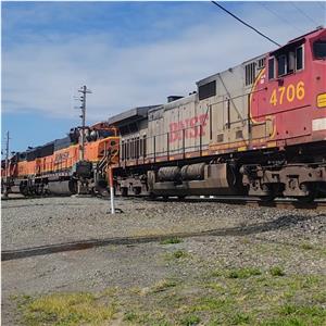 Photo 139477