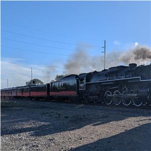 Photo 139631