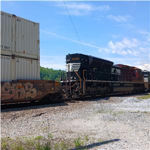 Photo 140472