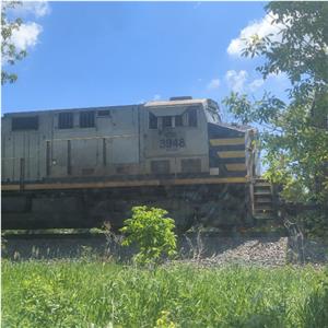 Photo 140483