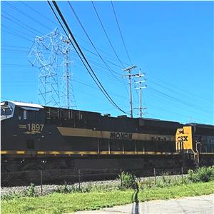 Photo 140748
