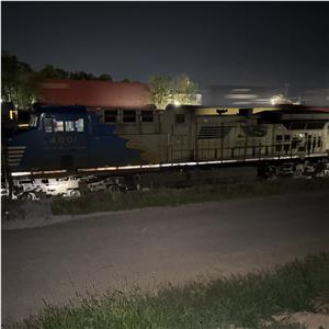 Photo 141177