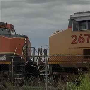 Photo 141271
