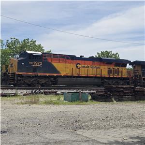 Photo 141503