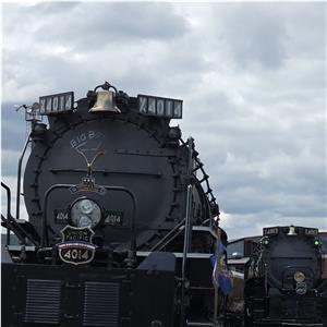 Photo 141733