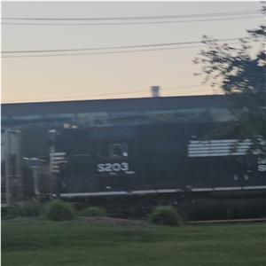 Photo 141746