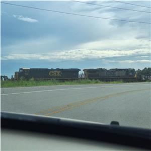 Photo 142039