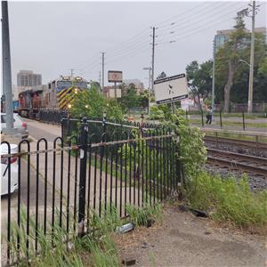 Photo 142069