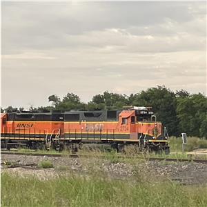 Photo 142279