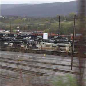Photo 142322