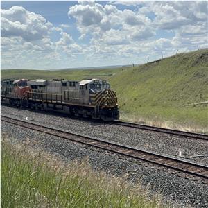 Photo 142421