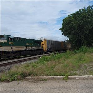 Photo 142443