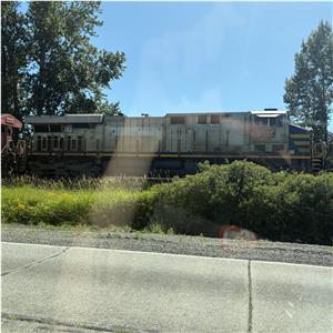 Photo 142522