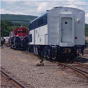 Photo 142662