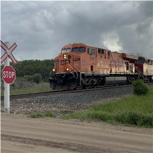 Photo 142669