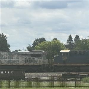 Photo 142733