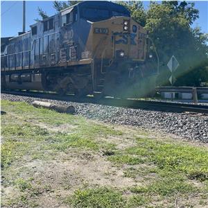 Photo 142754