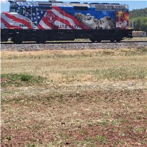 Photo 142761
