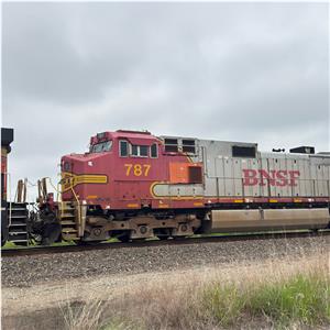 Photo 142767