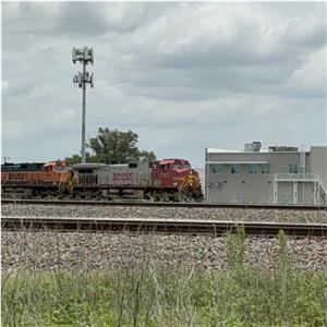 Photo 142769