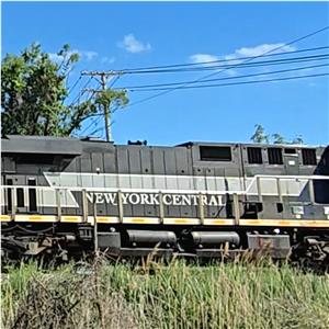 Photo 142852