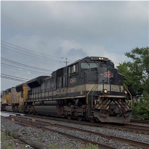 Photo 143267
