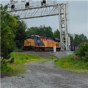 Photo 143273