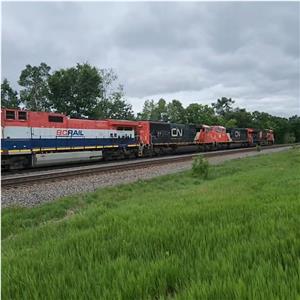 Photo 143787