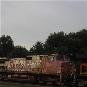 Photo 143938