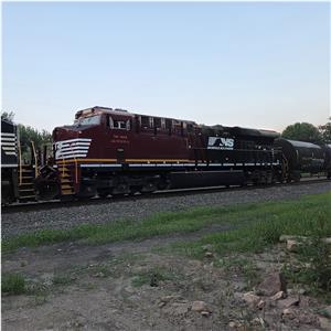 Photo 143975