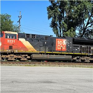 Photo 144472