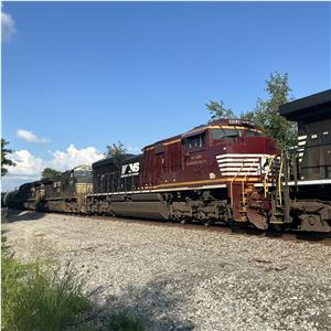 Photo 144526