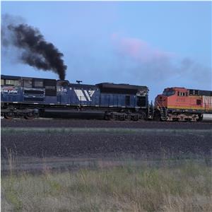 Photo 144718