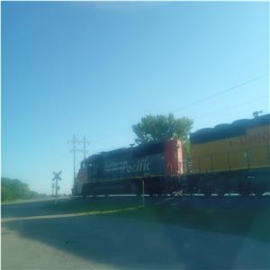 Photo 145004