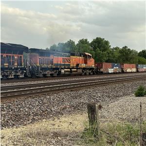 Photo 145364