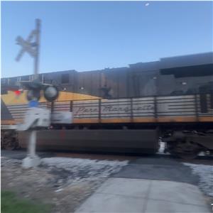 Photo 146354