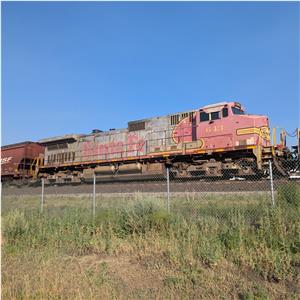 Photo 146369