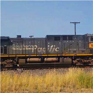 Photo 146394