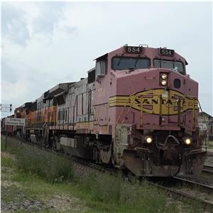 Photo 146942