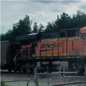 Photo 147015