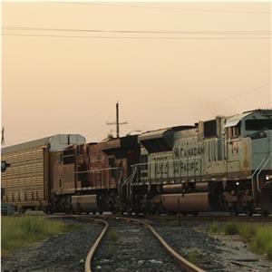 Photo 147016