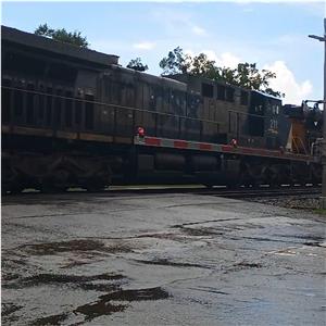 Photo 147192