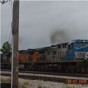 Photo 147291