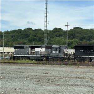 Photo 147298