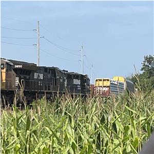 Photo 147317
