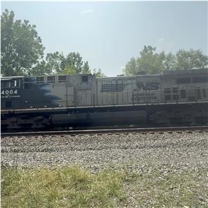 Photo 147323