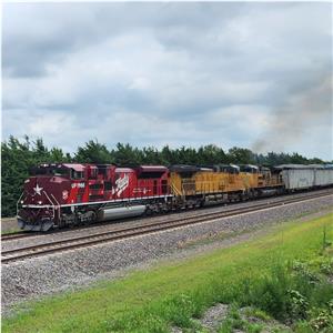 Photo 147327
