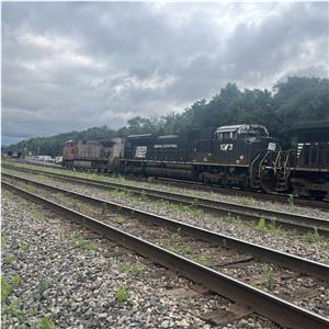 Photo 147398