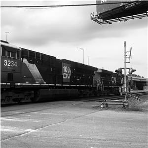 Photo 147724